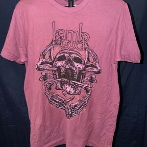 Pink Graphic Tee-Lamb of God in pink-nwot
